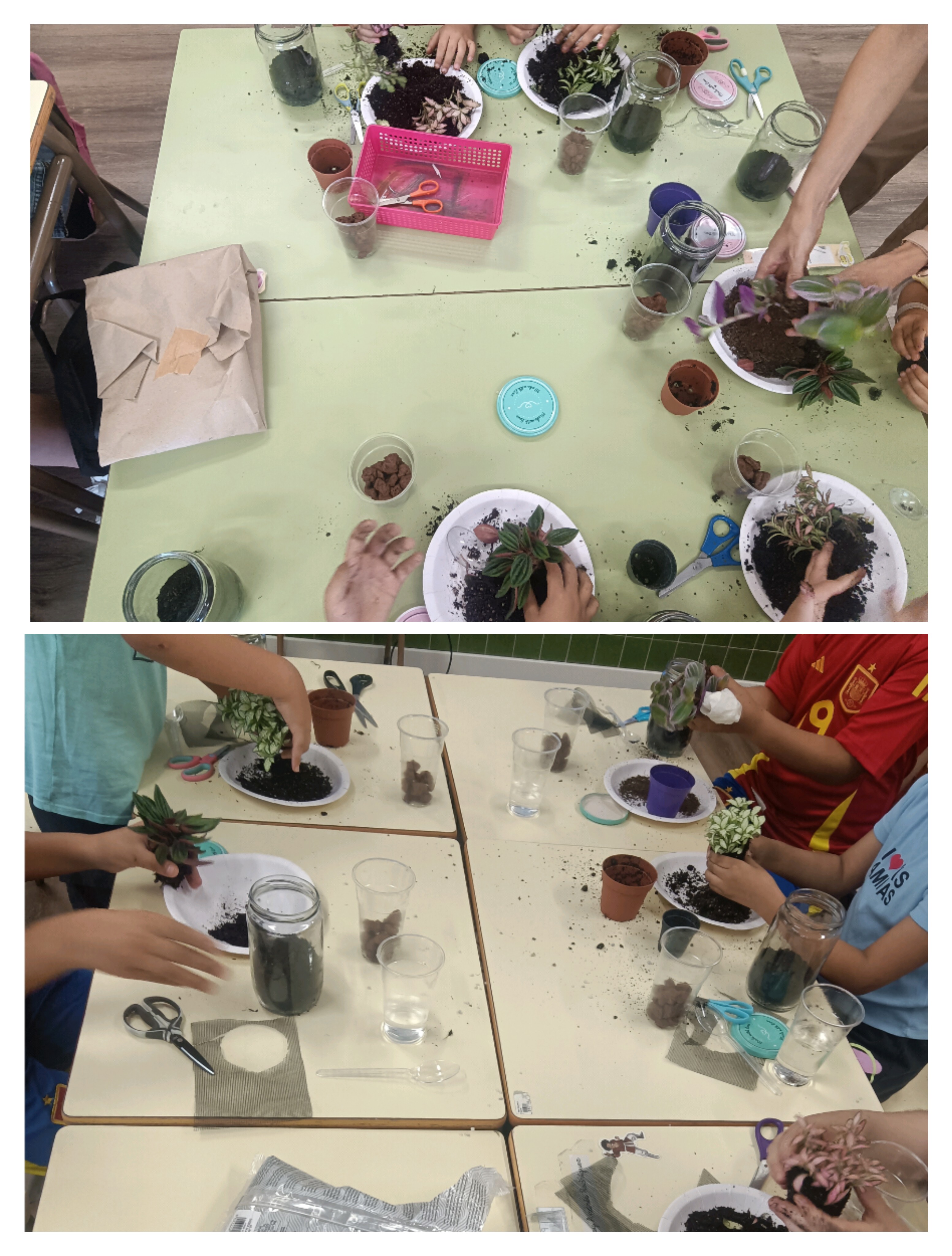 taller terrario
